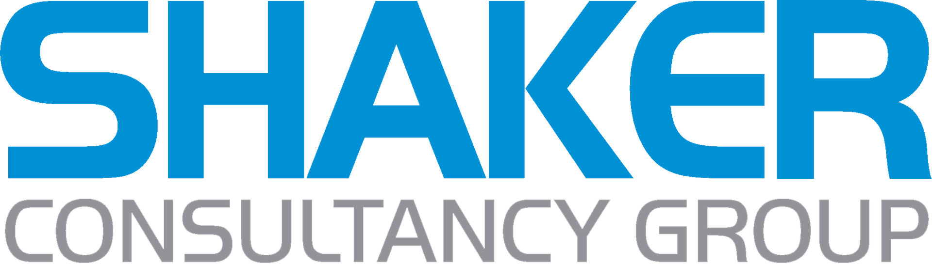 SHAKER CONSULTANCY GROUP